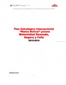 Plan Estratégico Intersectorial “Matea Bolívar”