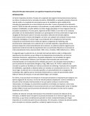 Selección Mercado Internacional: Un cognitiva Perspectiva de los Mapas