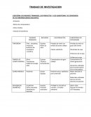 TRABAJO DE INVESTIGACION INSUMOS PRIMARIOS.