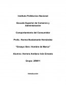 Ensayo "Hombre de Marca"