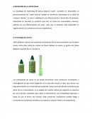 DEFINICIÓN DE LA ESTRATEGIA