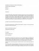 SEMINARIO DE INTEGRACION Y PRACTICA PROFESIONAL VI.