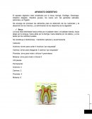 Resumen anatomia 1