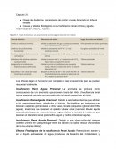 INSUFICIENCIA RENAL AGUDA
