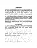 Cultura maya museo de antropologia.