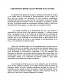 Calentamiento Global Causa la Pérdida de los Corales