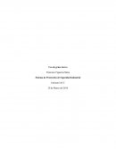 Uso de grúas torres