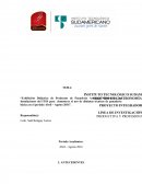 Exhibición didáctica de panadería artesanal: Demostración de técnicas básicas