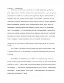 El directivo y su organizacion