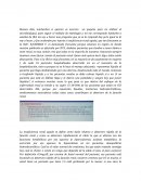 Insuficiencia renal aguda.