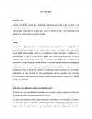 Nutrición para cada grupo de edad