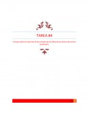 Vibraciones en el Sector Automotriz