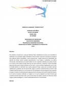 ASIGNATURA DE DISEÑO Y DESARROLLO DE PRODUCTOS