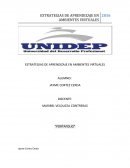 ESTRATEGIAS DE APRENDIZAJE EN AMBIENTES VIRTUALES