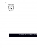 Realiza un resumen con tus propias palabras de la Historia de la Contabilidad como Ciencia.