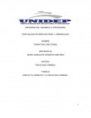 ENSAYO “EL DERECHO Y LA PSICOLOGIA CRIMINAL”