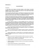 TEMA- PLAN ESTRATEGICO.