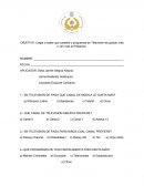 OBJETIVO: Llegar a saber que canales o programas de Televisión les gustan más o ven más la Población..