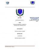 Tipos de parrafos y ejemplos