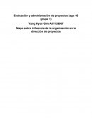 Mapa sobre influencia de la organización en la dirección de proyectos