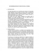 Determinación de fosfatos en la orina