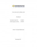 Guia de observación de realidades sociales.