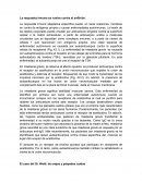 La respuesta inmune se vuelve contra el anfitrión.