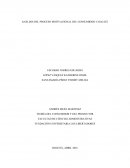 ANALISIS DEL PROCESO DE COMPRA CONSUMIDOR