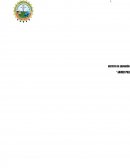 Diseño y construcción de un ahumador multifuncional