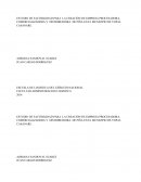 ESTUDIO DE FACTIBILIDAD PARA LA CREACIÓN DE EMPRESA PROCESADORA, COMERCIALIZADORA Y DISTRIBUIDORA DE PIÑA EN EL MUNICIPIO DE YOPAL CASANARE..