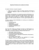 Experiencia Fenómenos de Licuefacción de Suelos