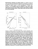 Representacion logaritmica de analisis de presion.
