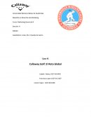 Maestría en Dirección de Marketing