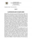 El sorprendente mundo de nuestro cerebro