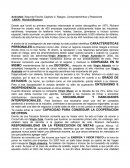 Actividad: Segundo Escrito Capitulo 2: Rasgos, Comportamientos y Relaciones