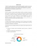 ETAPA EP, se plantea implementar un modelo de gestión responsable y sostenible, que en esencia contribuye a generar el Bien Común y aportar al desarrollo sostenible del territorio