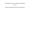 MÉTODOS Y TÉCNICAS DE INVESTIGACIÓN.