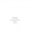 Plan De Formación.Fundamentos de la Prevenciòn de Riesgos