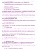 Cuestionario Costo Presupuestario