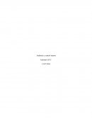 CONTROL 1 AUDITORIA IACC