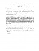 Aislamiento de cloroplastos y cuantificación de clorofila
