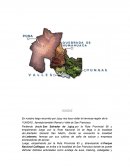 En nuestro largo recorrido por Jujuy nos toca visitar la hermosa región de la YUNGAS