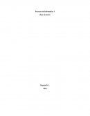 Poryecto bases de datos