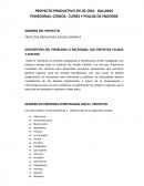 DESCRIPCIÓN DEL PROBLEMA O NECESIDAD, SUS DISTINTAS CAUSAS Y EFECTOS