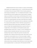 Informatica linea de tiempo