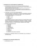 DIAGNOSTICO DE CARACTERISTICAS COMERCIALES