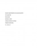 Motivación. Psicologia