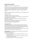 ORGANOS GENITALES MASCULINOS