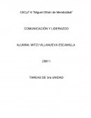 COMUNICACIÓN Y LIDERAZGO.SI YO FUERA