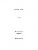 Ensayo Alucinaciones, Oliver Sack.